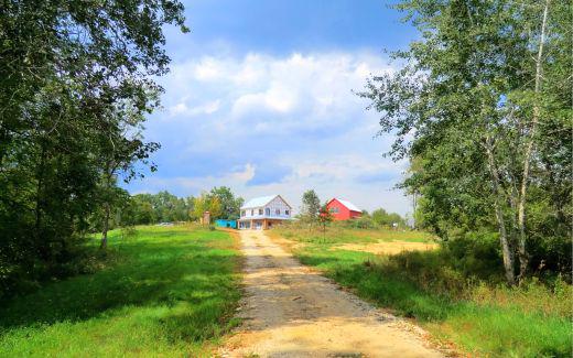 View from driveway