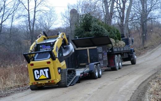 Pro Trees Unlimited delivering evergreens