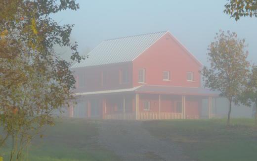 Morning view from driveway