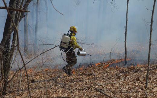 Controlling the downwind firebreak