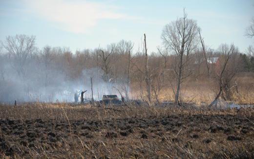 Fen with house in background