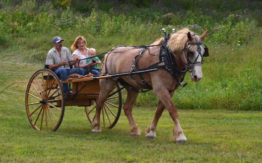 Debbie and Ryan with Scott driving Jake