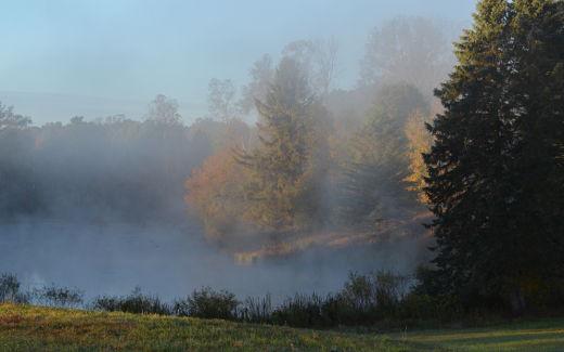 Pond, autumn