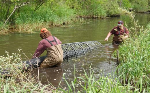 Placing the pond leveler