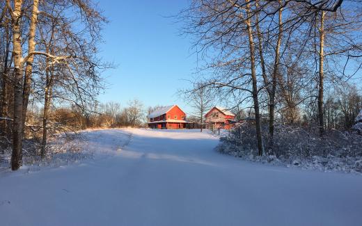 Home, snow