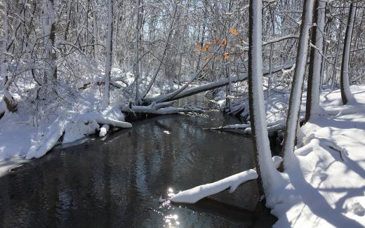 Stream, snow