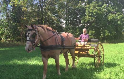 Jake, Kurt, meadowbrook cart